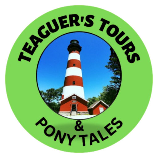 Teaguer's Tours & Pony Tales